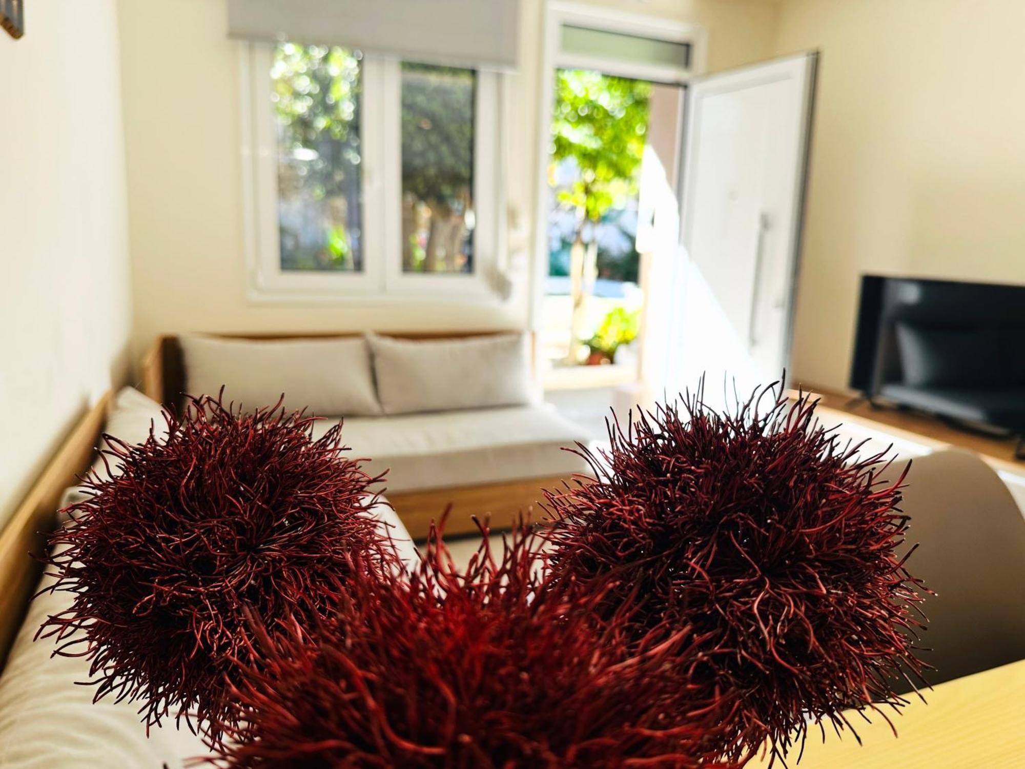 Matina Room Chania  Ngoại thất bức ảnh